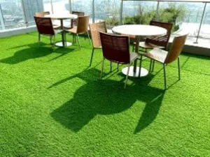 grass in qatar